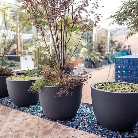 Отель Bleibtreu By Golden Tulip