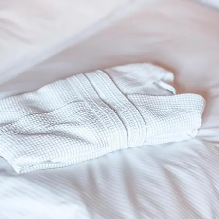 ホテル ブライブトロイ バイ ゴールデン チューリップ 4*