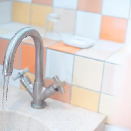 ブライブトロイ バイ ゴールデン チューリップ 4*